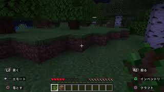 久しぶりにみんなでマイクラ