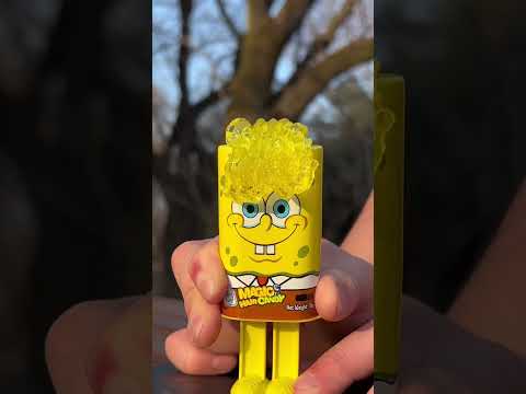 「スポンジ・ボブ」:ウイルスのエピソードが禁止されました