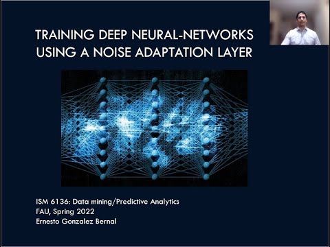 Training Deep Neural-Networks using a Noise Adaptation layer