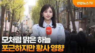 [날씨] 모처럼 맑은 하늘…포근하지만 황사 영향 / 연합뉴스TV (YonhapnewsTV)