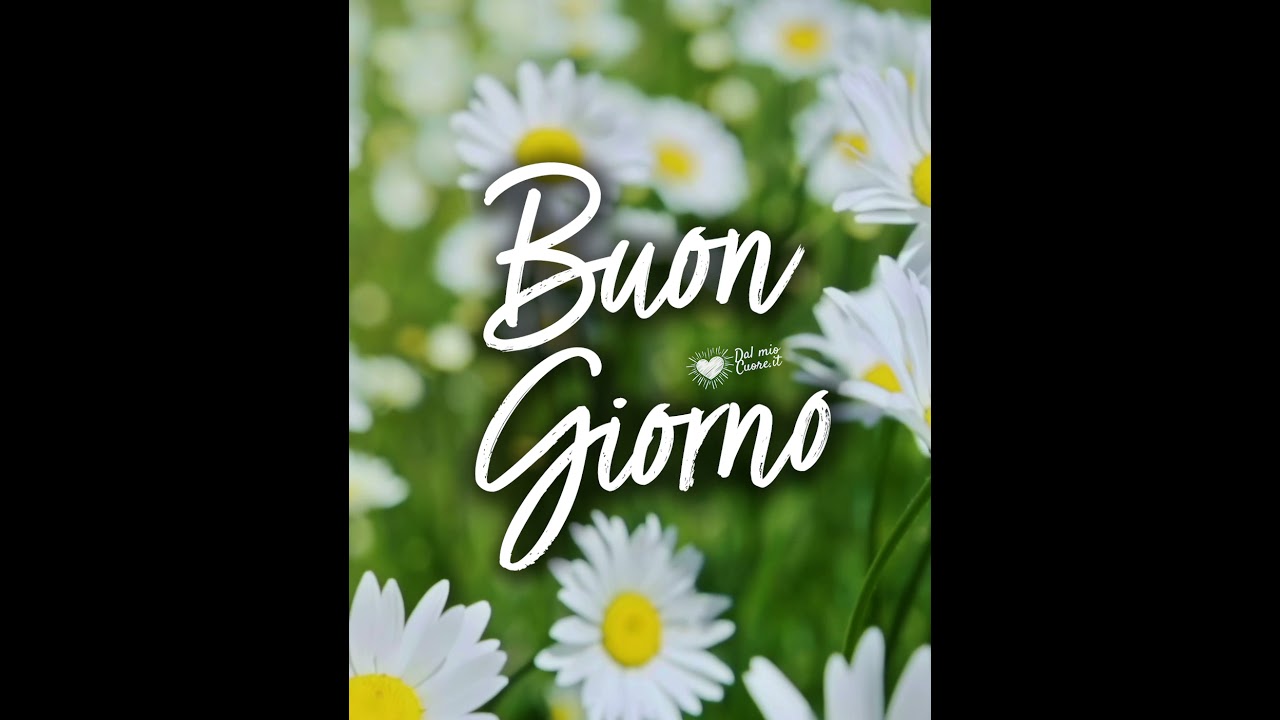 Buon Giorno con campo di fiori