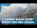 GROTE BRAND beschadigt DRIE WONINGEN in Maassluis