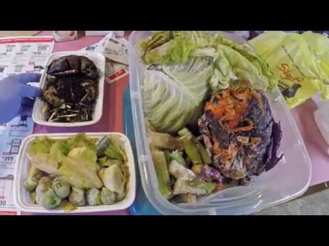 Finishing tub bait bombs..  plus generous feeding for my active bins - vermicomposting