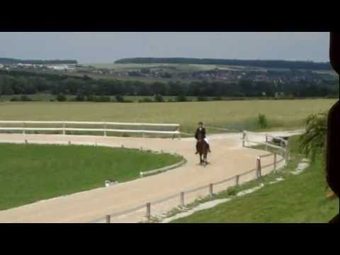 OSI Hirtenhof 2011 - Marleen Stühler & Baldur V1 - isibless