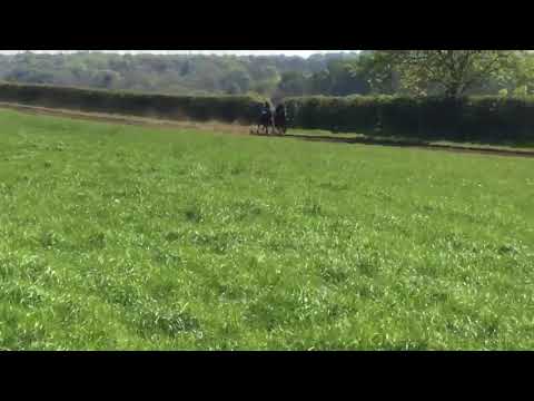 Liberty Breeze(nearest) doing a nice piece of work on 6th May, with Phil Dennis in the saddle