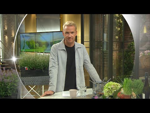Lördagsköket bjuder på ostiga favoriter  - Nyhetsmorgon (TV4)
