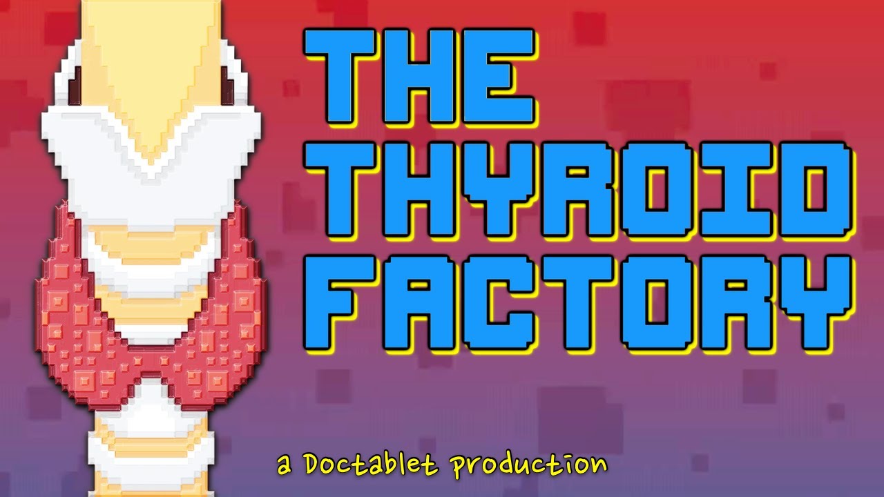 The Thyroid Factory: Understanding Thyroid Function and Thyroid Function Tests