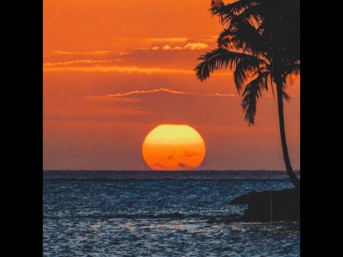 [FREE] FRANK OCEAN X CALVIN HARRIS SUMMER TYPE BEAT ‘WAVES’ (Prod. By Young Leo)