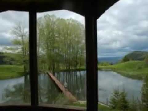 Веселин Джигов - Петлине пеят любе