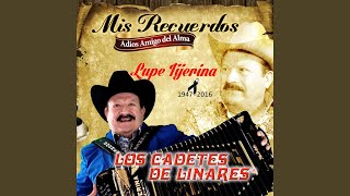 Tu Partida