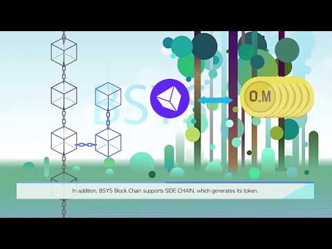 BSYS LIGHT WALLET Video