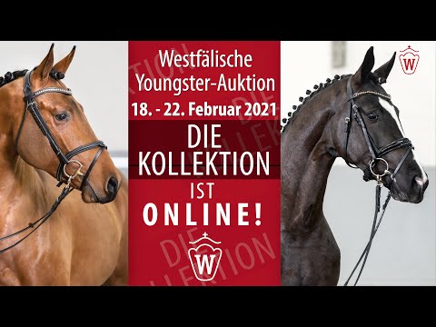 Westfälische Youngster Auktion 18. - 22. Februar 2021