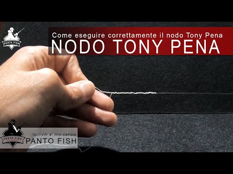 Come eseguire correttamente il nodo Tony Pena