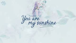 [Vietsub|Pinyin] You Are My Sunshine - Phương Viên/方圆 ||OST Thời đại niên thiếu của chúng ta