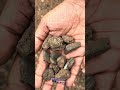 வீரப்பூர் பொன்னர் சங்கர் அதிசய பூமி �