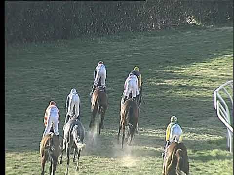 Galoppo 26/02/2019 - 2ª corsa