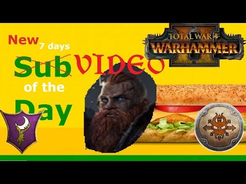 Dark Elves & Norsca | 2 FOR 1 BARGAIN SPECIAL - Total War Warhammer 2