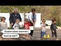PREMIER RUTTE: Zaai in tuin en balkon voor bijen en vlinders