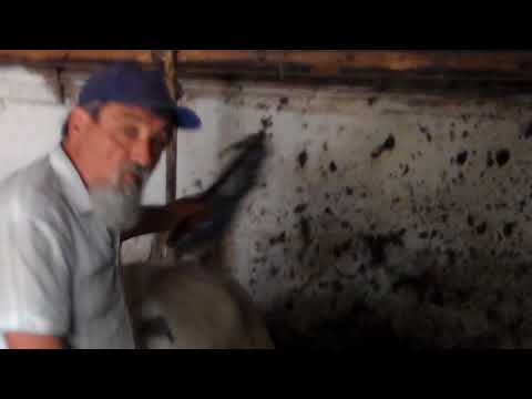 Primaria Baba-Ana are Dezvoltare Locala     Partea   A