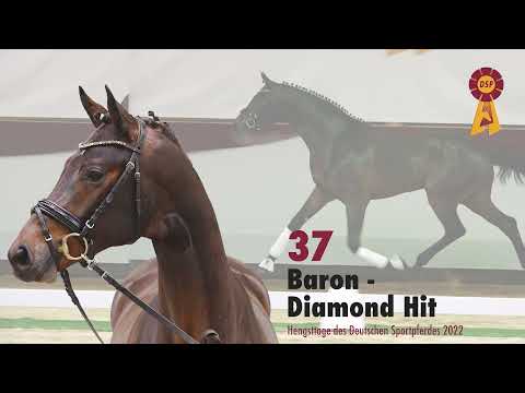 Lot 37: Hengst v. Baron/Diamond Hit