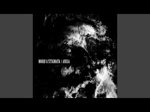 Shattered Vertebrae of the Zodiac