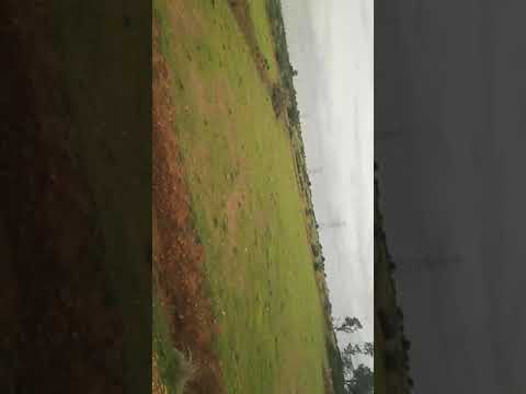  Agricultural Land 48 Acre for Sale in Somandepalli, Anantapur
