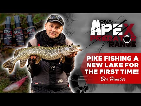PIKE FISHING A NEW LAKE FOR THE FIRST TIME | Ben Humber | DNA Apex | DNA Baits | *WIN AMINO SPRAYS*