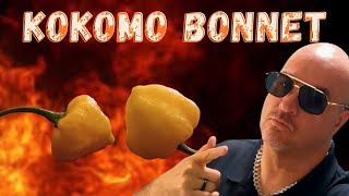 Kokomo Bonnet  - White Moruga Scorpion Pepper X MOA Scotch Bonnet Pepper from Refining Fire Chiles