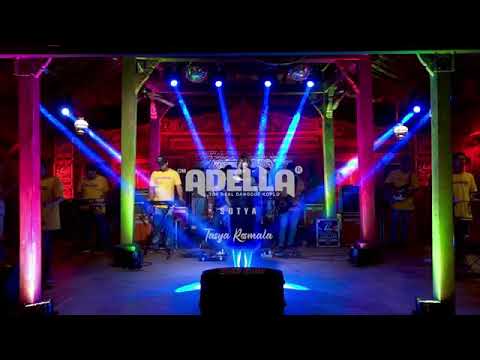 sotya (Tasya rosmala)Adella