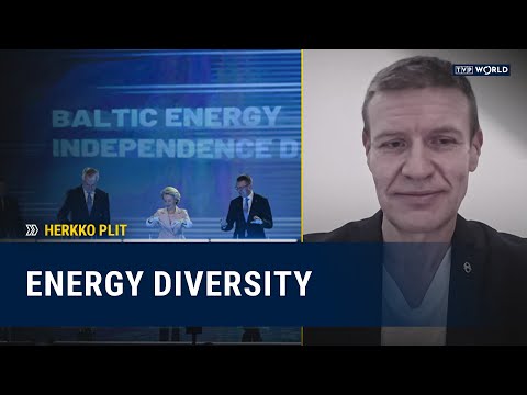 Baltics disconnect from Russian energy grid | Herkko Plit