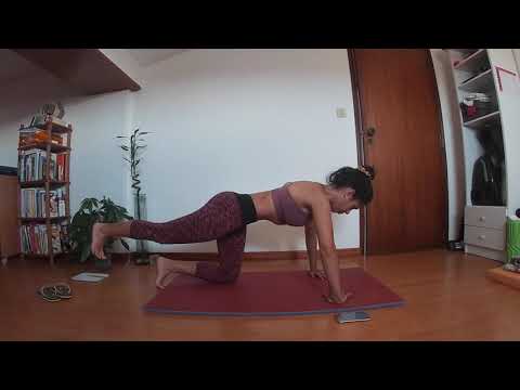 Maia-Gaia Low Pressure Fitness - LPF- Níveis 1, 2 e 3 | Tempo Real | Exercício em casa