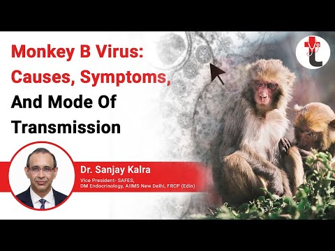 Monkey B Virus: Causes, Symptoms, And Mode Of Transmission || Monkey B Virus