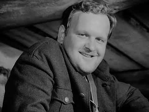 Heimkehr in ein fremdes Land - Teil 1