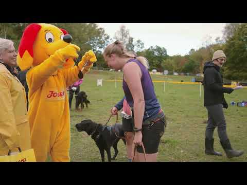 CROSSDOG - Das Event 2023