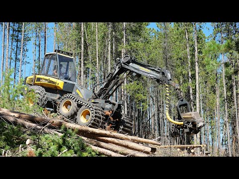 Unique Ponsse machine used for wildfire mitigation