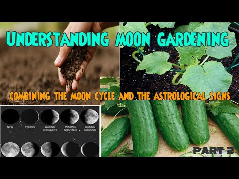 Understanding moon Gardening