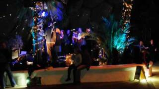 Cornish Music and Dance by Dalla at The Eden Project (4 of 4)