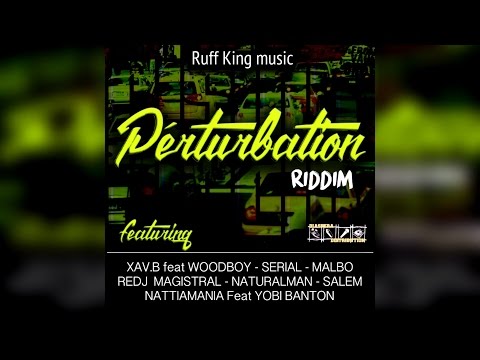 Perturbation Riddim 2016 - Mix Promo by Faya Gong 🔥🔥🔥