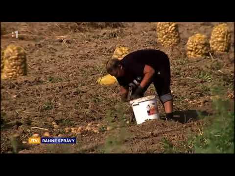 Obec Raslavice prikladom ako integrevat  Romov do spolocnosti