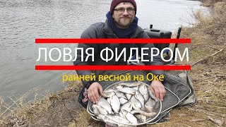 Разрешена ли ловля на фидер весной
