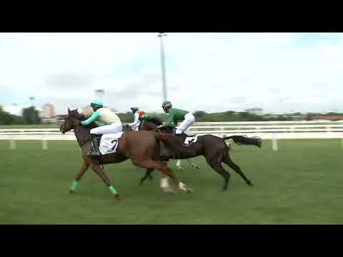 2022.06.04. 01. futam - KRŐZUS GÁTVERSENY