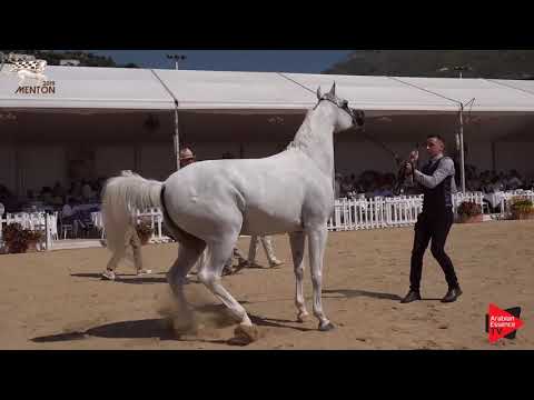 N.90 SA MINERVA - Menton 2019