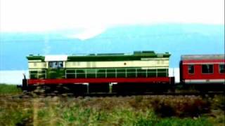 Pile Up-She keeps bees