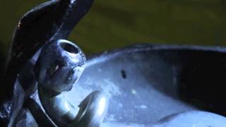 Samson Go Mic First Test Run - Matchbook Romance - Goody, Like Two Shoes Drum Cover