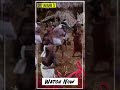 Kammankaadu Suvalakhmi Ponvizha Varnamtv Shorts