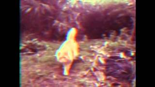 Love Has a Diameter - Biffy Clyro