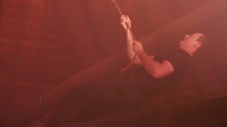 Black Crows Invaded Our Country