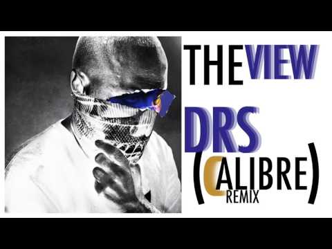 DRS feat. LSB & Tyler Daley - The View (Calibre Remix)