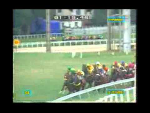 GP Francisco Eduardo de Paula Machado (Gr. I) - RJ - 2012 - Plenty Of Kicks