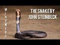 Discussion of John Steinbeck's Short Story "The Snake" 3-31-22
